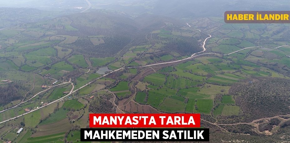 Manyas'ta tarla mahkemeden satılık