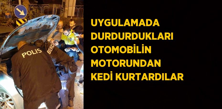 UYGULAMADA DURDURDUKLARI OTOMOBİLİN MOTORUNDAN KEDİ KURTARDILAR