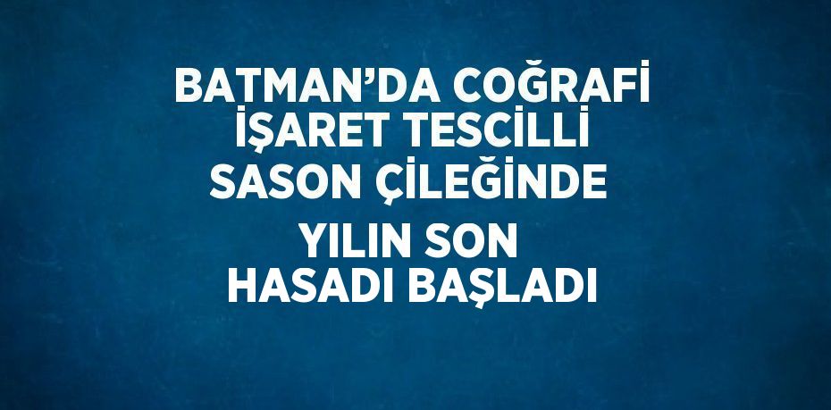 BATMAN’DA COĞRAFİ İŞARET TESCİLLİ SASON ÇİLEĞİNDE YILIN SON HASADI BAŞLADI