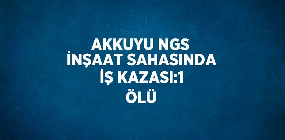 AKKUYU NGS İNŞAAT SAHASINDA İŞ KAZASI:1 ÖLÜ