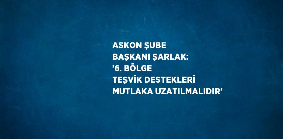 ASKON ŞUBE BAŞKANI ŞARLAK: '6. BÖLGE TEŞVİK DESTEKLERİ MUTLAKA UZATILMALIDIR'