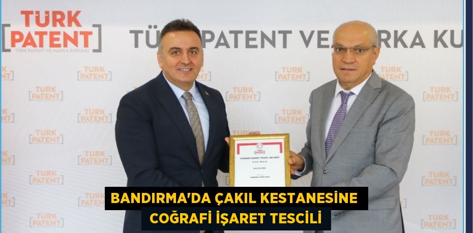 BANDIRMA'DA ÇAKIL KESTANESİNE   COĞRAFİ İŞARET TESCİLİ