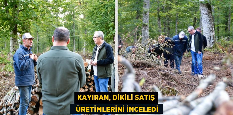 KAYIRAN, DİKİLİ SATIŞ   ÜRETİMLERİNİ İNCELEDİ