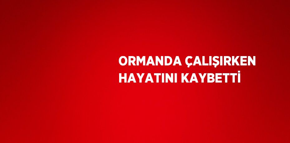 ORMANDA ÇALIŞIRKEN HAYATINI KAYBETTİ