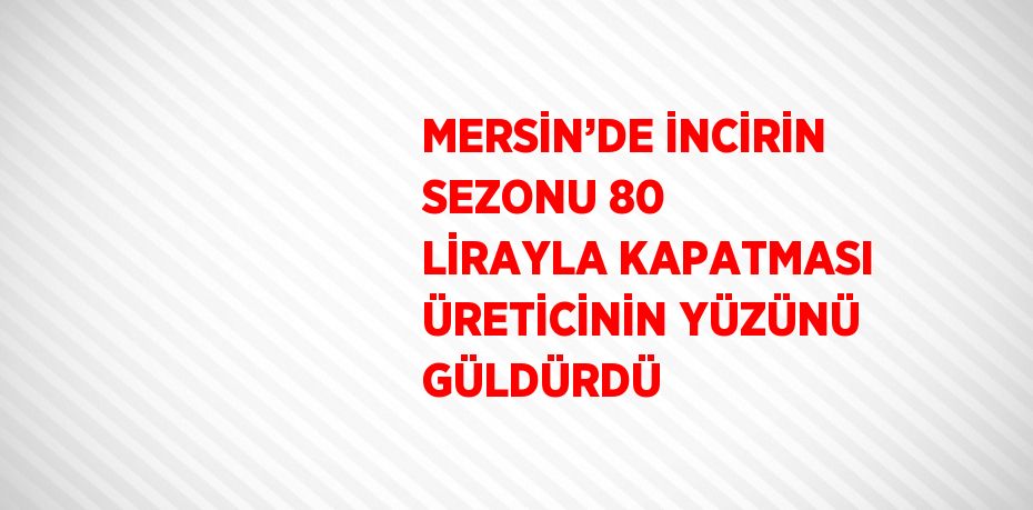 MERSİN’DE İNCİRİN SEZONU 80 LİRAYLA KAPATMASI ÜRETİCİNİN YÜZÜNÜ GÜLDÜRDÜ