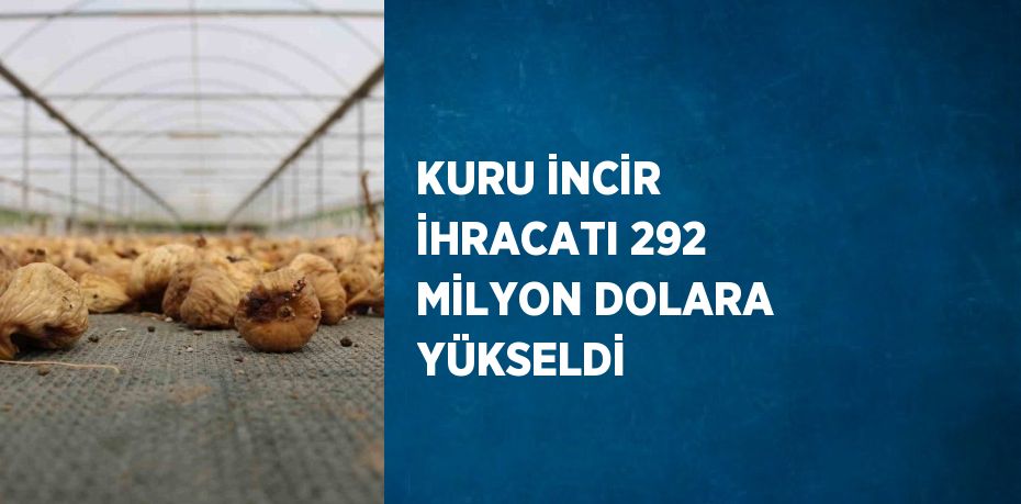 KURU İNCİR İHRACATI 292 MİLYON DOLARA YÜKSELDİ