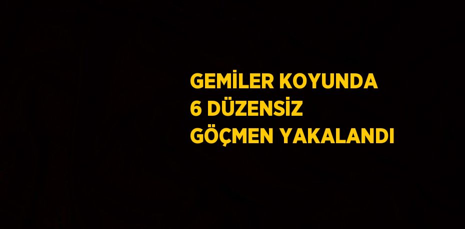 GEMİLER KOYUNDA 6 DÜZENSİZ GÖÇMEN YAKALANDI