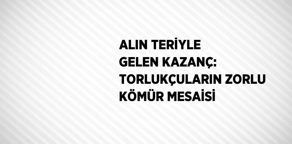 ALIN TERİYLE GELEN KAZANÇ: TORLUKÇULARIN ZORLU KÖMÜR MESAİSİ