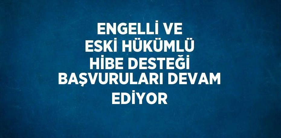 ENGELLİ VE ESKİ HÜKÜMLÜ HİBE DESTEĞİ BAŞVURULARI DEVAM EDİYOR