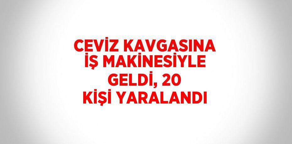 CEVİZ KAVGASINA İŞ MAKİNESİYLE GELDİ, 20 KİŞİ YARALANDI