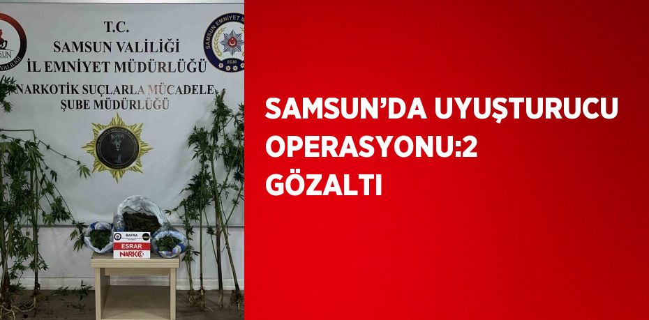 SAMSUN’DA UYUŞTURUCU OPERASYONU:2 GÖZALTI