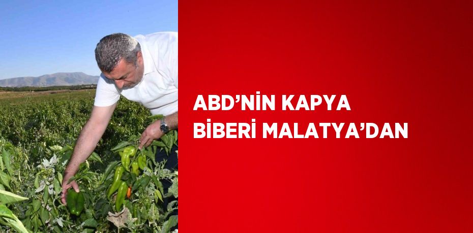 ABD’NİN KAPYA BİBERİ MALATYA’DAN