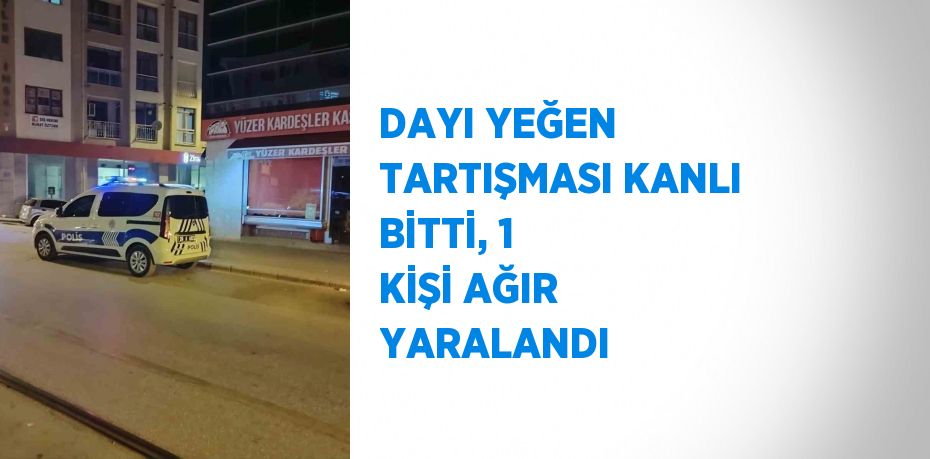 DAYI YEĞEN TARTIŞMASI KANLI BİTTİ, 1 KİŞİ AĞIR YARALANDI