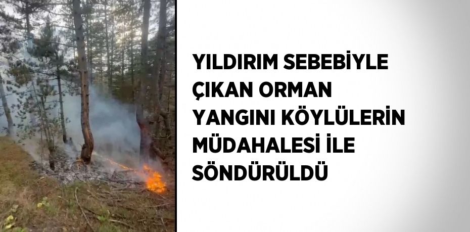 YILDIRIM SEBEBİYLE ÇIKAN ORMAN YANGINI KÖYLÜLERİN MÜDAHALESİ İLE SÖNDÜRÜLDÜ