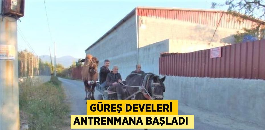 GÜREŞ DEVELERİ ANTRENMANA BAŞLADI