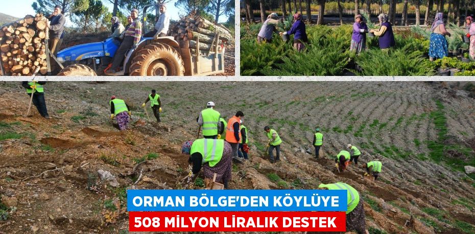 ORMAN BÖLGE’DEN KÖYLÜYE 508 MİLYON LİRALIK DESTEK