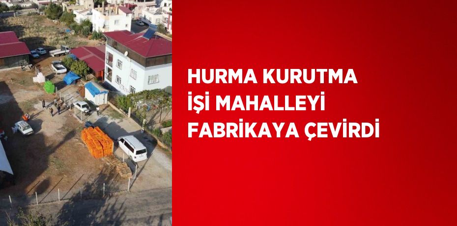 HURMA KURUTMA İŞİ MAHALLEYİ FABRİKAYA ÇEVİRDİ