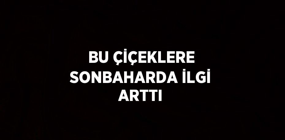 BU ÇİÇEKLERE SONBAHARDA İLGİ ARTTI