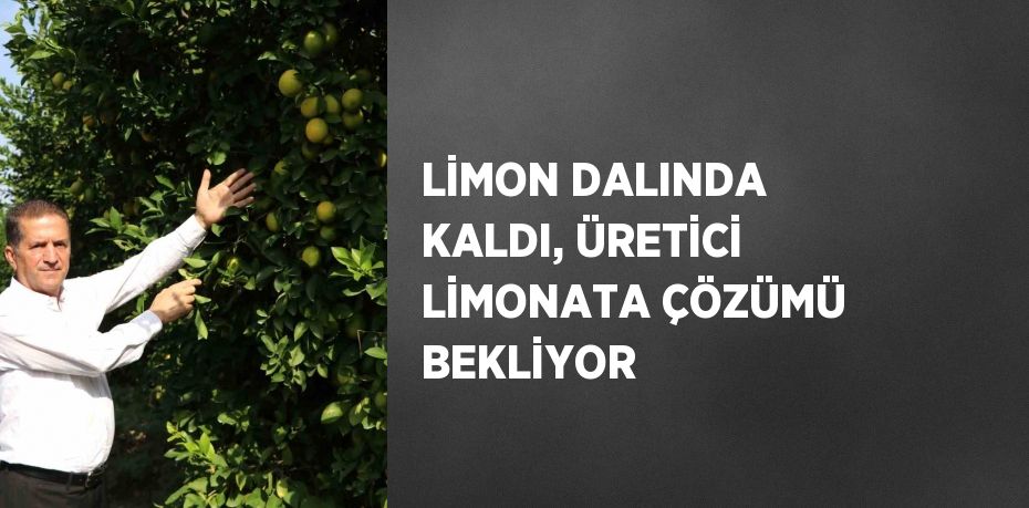 LİMON DALINDA KALDI, ÜRETİCİ LİMONATA ÇÖZÜMÜ BEKLİYOR