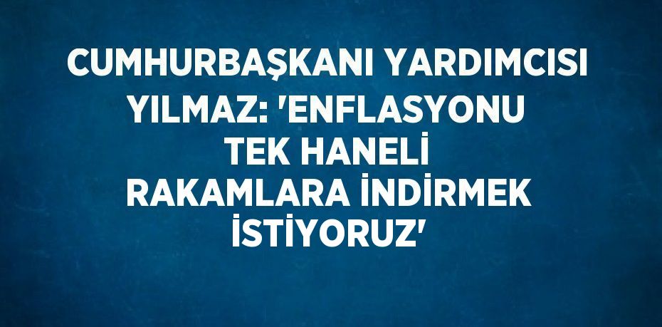 CUMHURBAŞKANI YARDIMCISI YILMAZ: 'ENFLASYONU TEK HANELİ RAKAMLARA İNDİRMEK İSTİYORUZ'