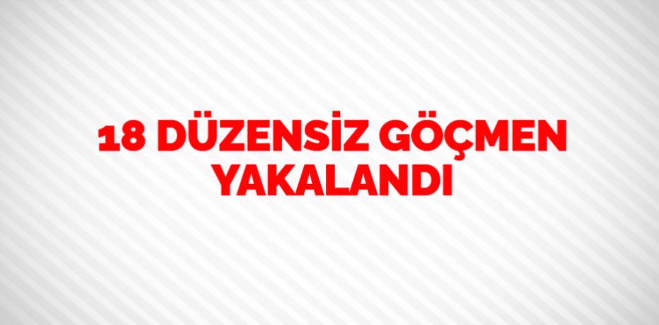 18 DÜZENSİZ GÖÇMEN YAKALANDI