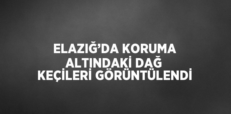 ELAZIĞ’DA KORUMA ALTINDAKİ DAĞ KEÇİLERİ GÖRÜNTÜLENDİ