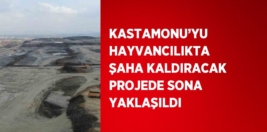 KASTAMONU’YU HAYVANCILIKTA ŞAHA KALDIRACAK PROJEDE SONA YAKLAŞILDI