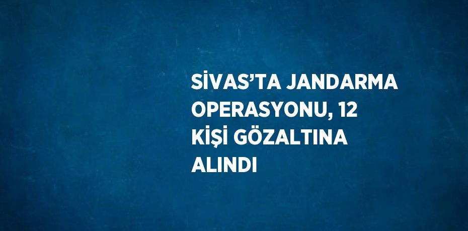 SİVAS’TA JANDARMA OPERASYONU, 12 KİŞİ GÖZALTINA ALINDI