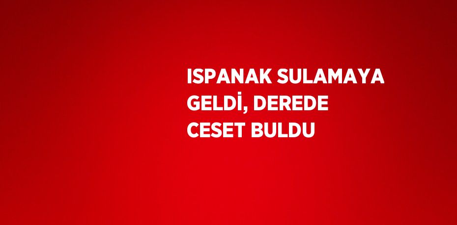 ISPANAK SULAMAYA GELDİ, DEREDE CESET BULDU