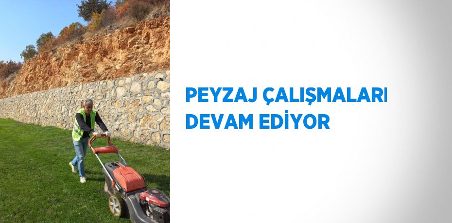 PEYZAJ ÇALIŞMALARI DEVAM EDİYOR