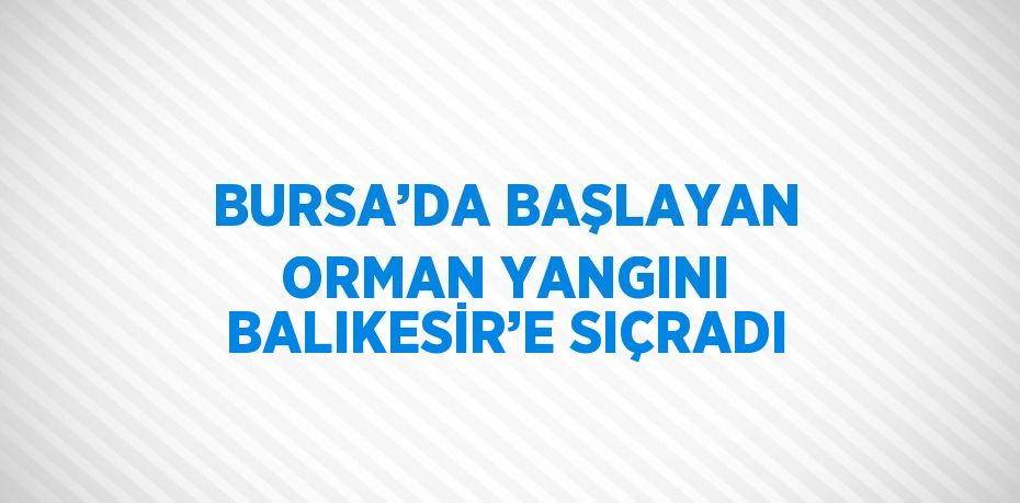 BURSA’DA BAŞLAYAN ORMAN YANGINI BALIKESİR’E SIÇRADI