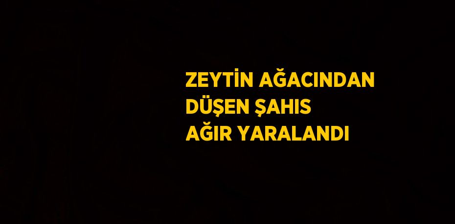 ZEYTİN AĞACINDAN DÜŞEN ŞAHIS AĞIR YARALANDI