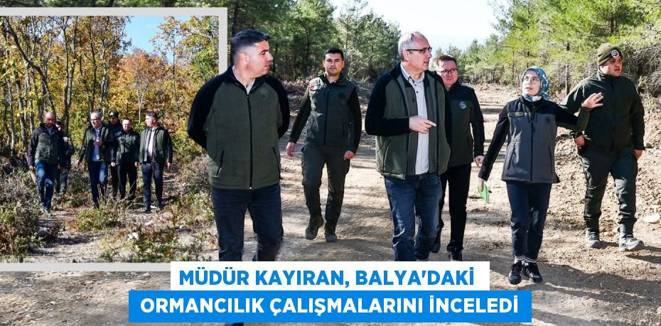 MÜDÜR KAYIRAN, BALYA'DAKİ   ORMANCILIK ÇALIŞMALARINI İNCELEDİ