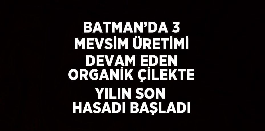 BATMAN’DA 3 MEVSİM ÜRETİMİ DEVAM EDEN ORGANİK ÇİLEKTE YILIN SON HASADI BAŞLADI