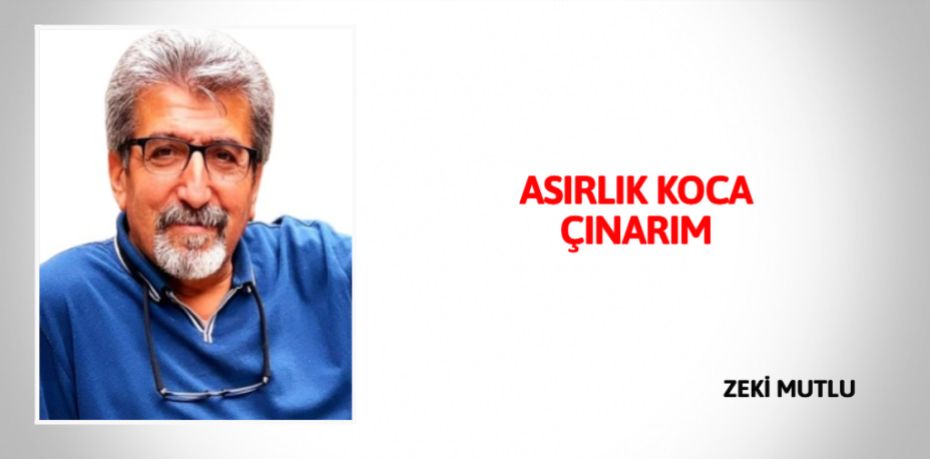 ASIRLIK KOCA ÇINARIM