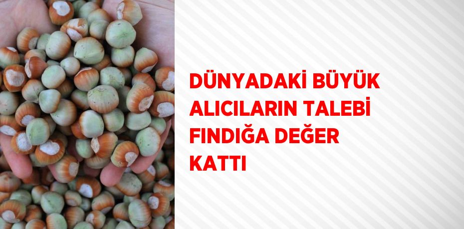 DÜNYADAKİ BÜYÜK ALICILARIN TALEBİ FINDIĞA DEĞER KATTI