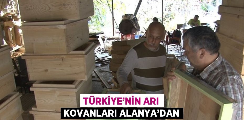 TÜRKİYE’NİN ARI KOVANLARI ALANYA’DAN