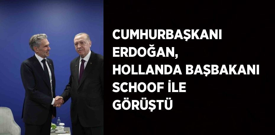 CUMHURBAŞKANI ERDOĞAN, HOLLANDA BAŞBAKANI SCHOOF İLE GÖRÜŞTÜ