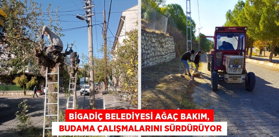 BİGADİÇ BELEDİYESİ AĞAÇ BAKIM,   BUDAMA ÇALIŞMALARINI SÜRDÜRÜYOR