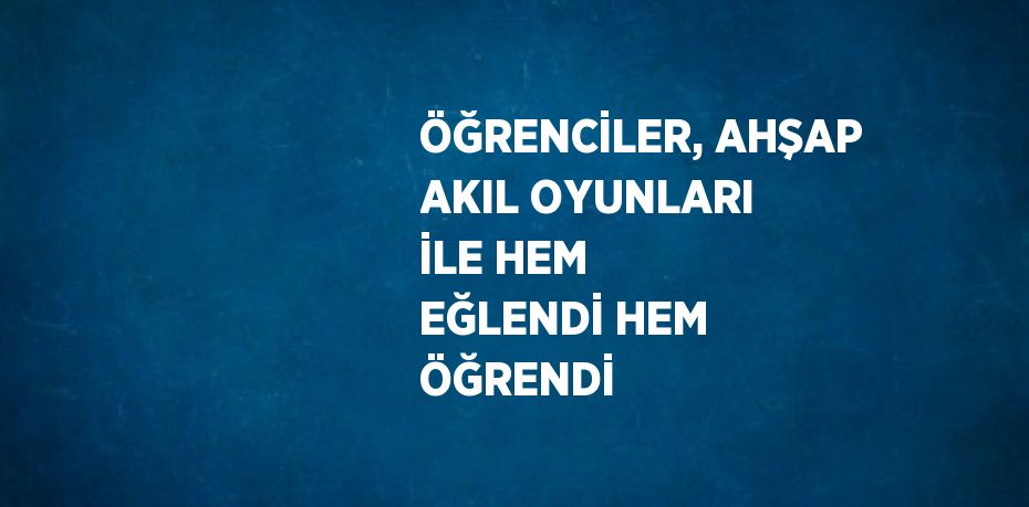 ÖĞRENCİLER, AHŞAP AKIL OYUNLARI İLE HEM EĞLENDİ HEM ÖĞRENDİ