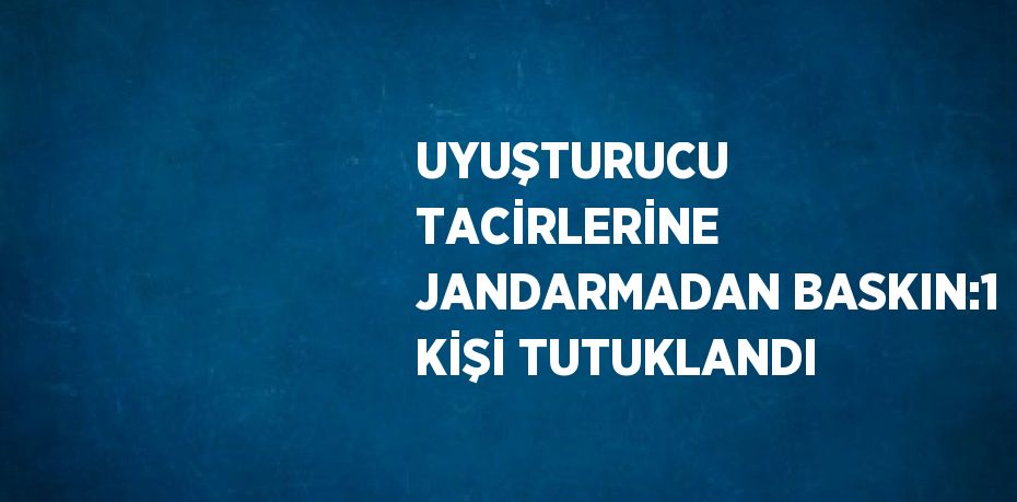 UYUŞTURUCU TACİRLERİNE JANDARMADAN BASKIN:1 KİŞİ TUTUKLANDI