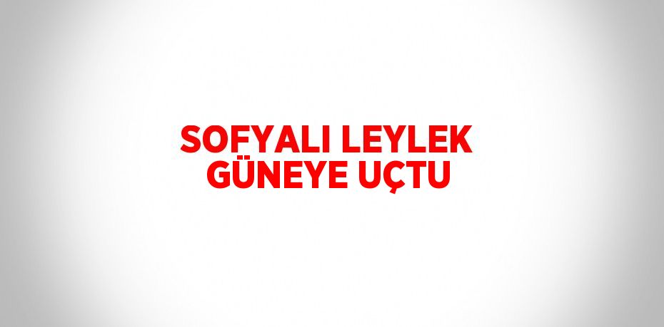 SOFYALI LEYLEK GÜNEYE UÇTU