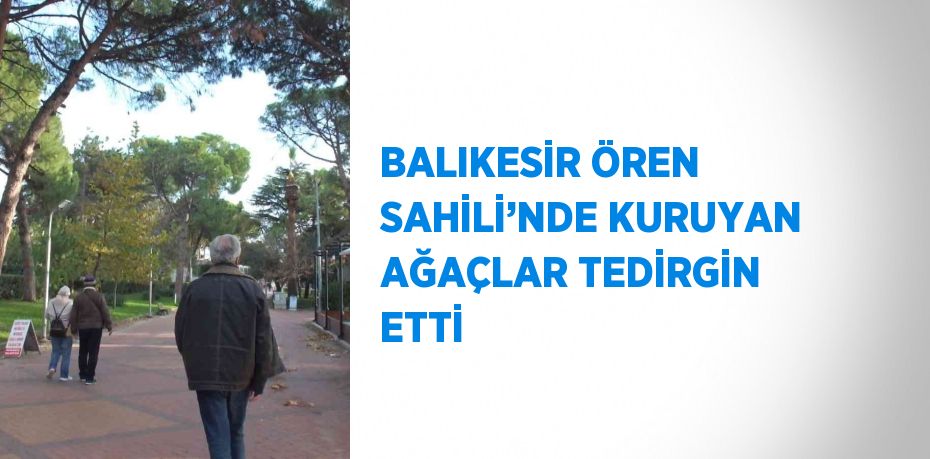 BALIKESİR ÖREN SAHİLİ’NDE KURUYAN AĞAÇLAR TEDİRGİN ETTİ