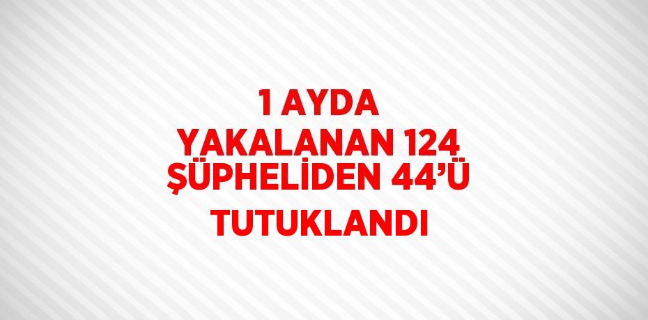 1 AYDA YAKALANAN 124 ŞÜPHELİDEN 44’Ü TUTUKLANDI