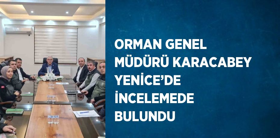 ORMAN GENEL MÜDÜRÜ KARACABEY YENİCE’DE İNCELEMEDE BULUNDU