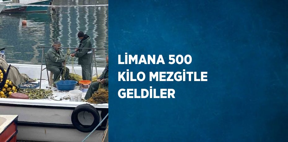 LİMANA 500 KİLO MEZGİTLE GELDİLER