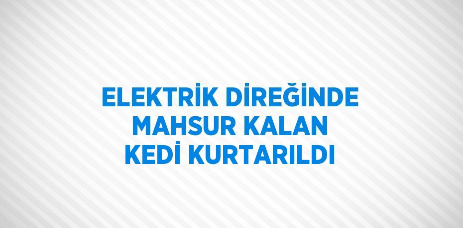 ELEKTRİK DİREĞİNDE MAHSUR KALAN KEDİ KURTARILDI