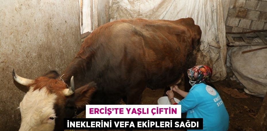 ERCİŞ’TE YAŞLI ÇİFTİN İNEKLERİNİ VEFA EKİPLERİ SAĞDI