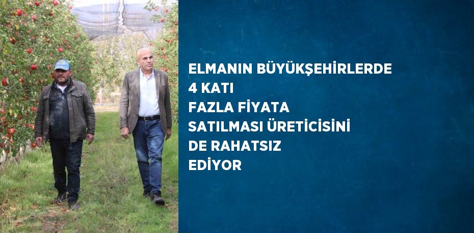 ELMANIN BÜYÜKŞEHİRLERDE 4 KATI FAZLA FİYATA SATILMASI ÜRETİCİSİNİ DE RAHATSIZ EDİYOR