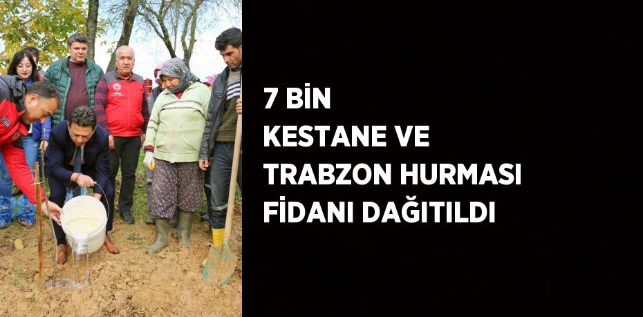 7 BİN KESTANE VE TRABZON HURMASI FİDANI DAĞITILDI